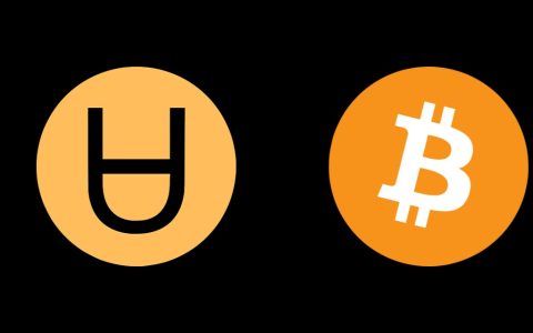 2025加密货币新手入门指南：从认识到实操，六大交易所与核心交易策略